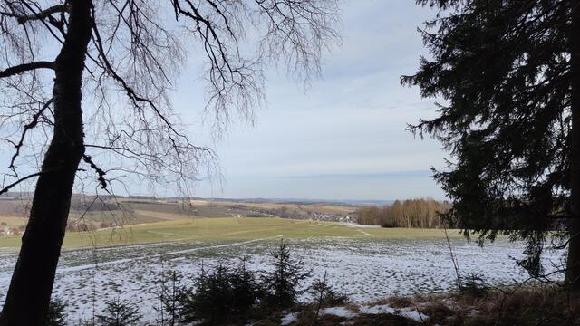 640x480/IMG_20250124_120821.jpg