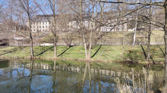 640x480/IMG_20250328_115831.jpg