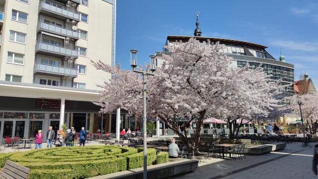 640x480/IMG_20250411_115326.jpg
