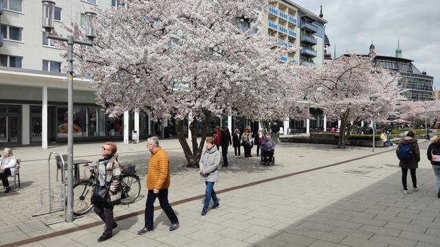 640x480/IMG_20250411_135329.jpg