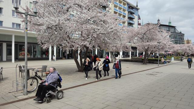 640x480/IMG_20250411_135337.jpg
