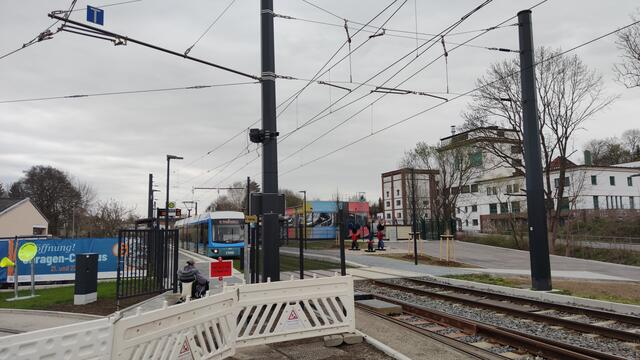 640x480/IMG_20250411_155356.jpg
