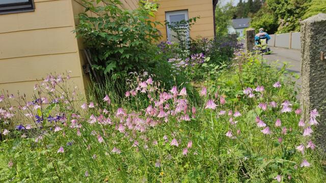640x480/IMG_20250609_125753.jpg