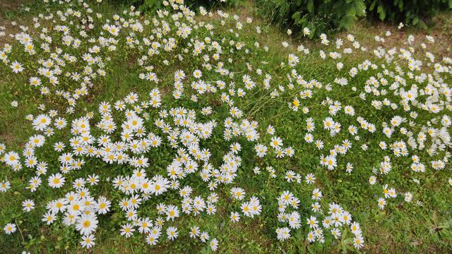 640x480/IMG_20250609_125803.jpg
