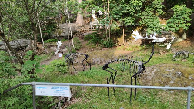 640x480/IMG_20250609_185045.jpg