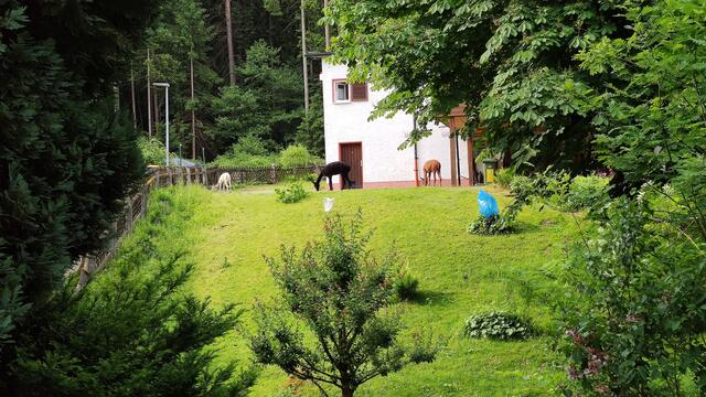 640x480/IMG_20250610_091029.jpg
