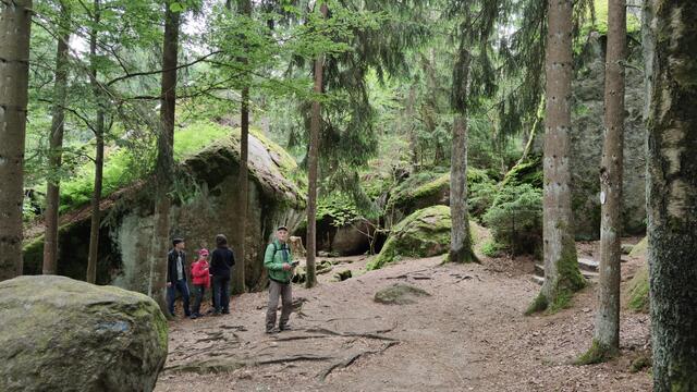 640x480/IMG_20250610_110833.jpg