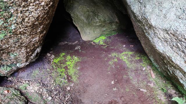 640x480/IMG_20250610_112131.jpg