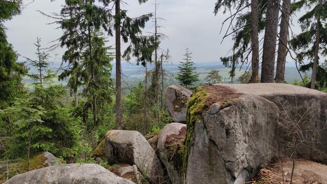 640x480/IMG_20250610_112634.jpg