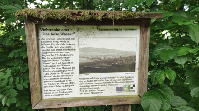 640x480/IMG_20250611_104953.jpg