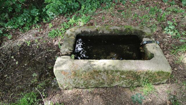 640x480/IMG_20250611_105001.jpg