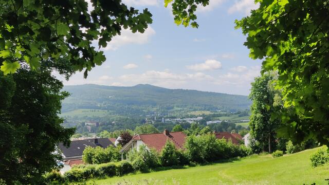 640x480/IMG_20250611_105525.jpg