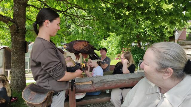 640x480/IMG_20250611_151627.jpg