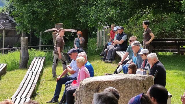 640x480/IMG_20250611_152426.jpg