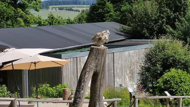 640x480/IMG_20250611_154112.jpg