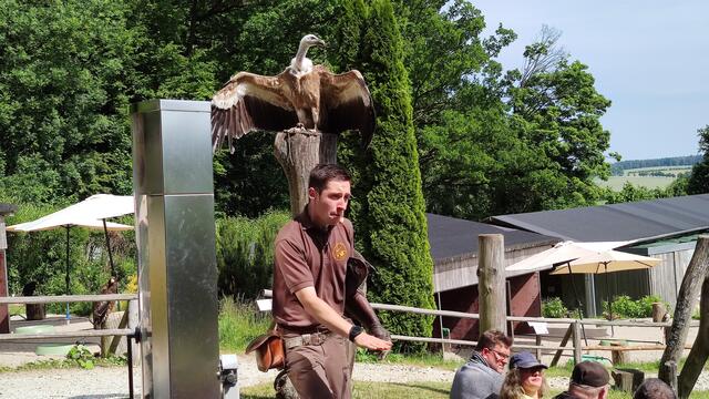 640x480/IMG_20250611_154606.jpg