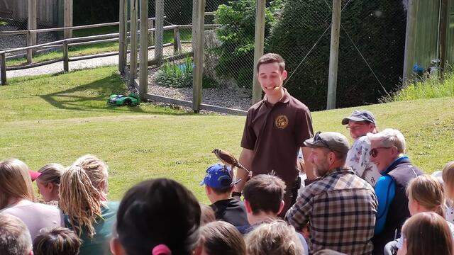 640x480/IMG_20250611_155634.jpg