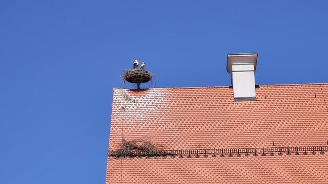 640x480/IMG_20250612_141652.jpg
