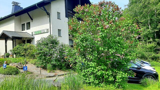 640x480/20250610_095640.jpg