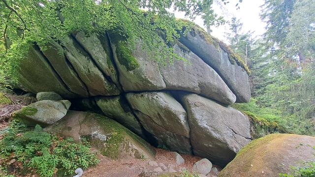 640x480/20250610_123416.jpg