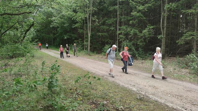 640x480/IMG_20250627_115438.jpg