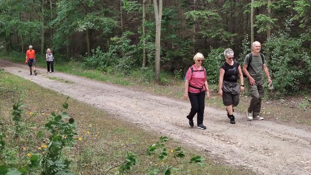 640x480/IMG_20250627_115445.jpg