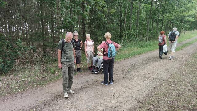 640x480/IMG_20250627_115502.jpg