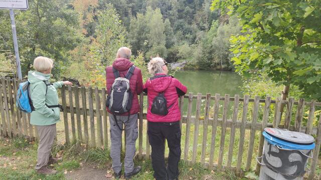 640x480/IMG_20250926_110211.jpg