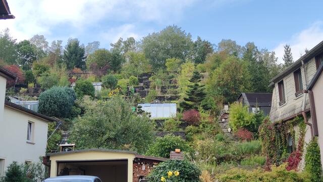 640x480/IMG_20250926_112703.jpg