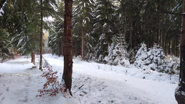 640x480/IMG_20251128_112644.jpg