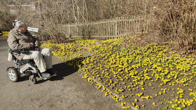 640x480/IMG_20260227_114303.jpg
