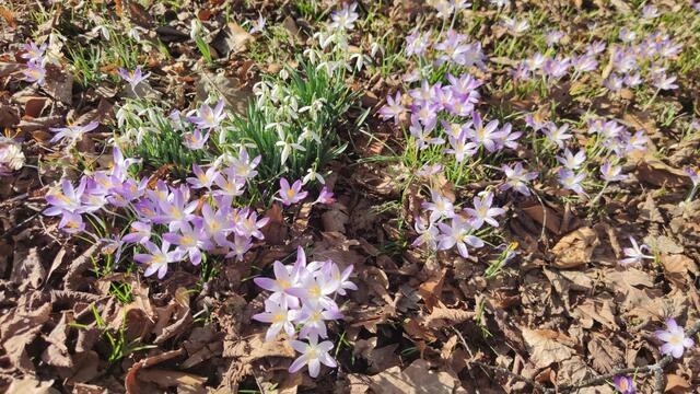 640x480/IMG_20260227_145120.jpg
