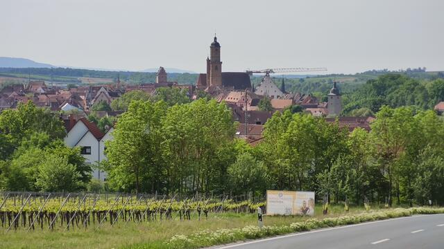 640x480/IMG_20260510_110250.jpg