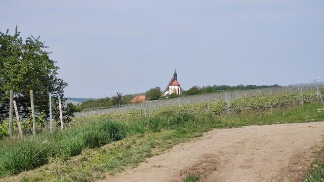 640x480/IMG_20260510_110328.jpg