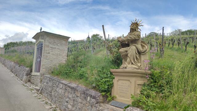 640x480/IMG_20260511_132726.jpg