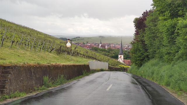 640x480/IMG_20260511_141557.jpg