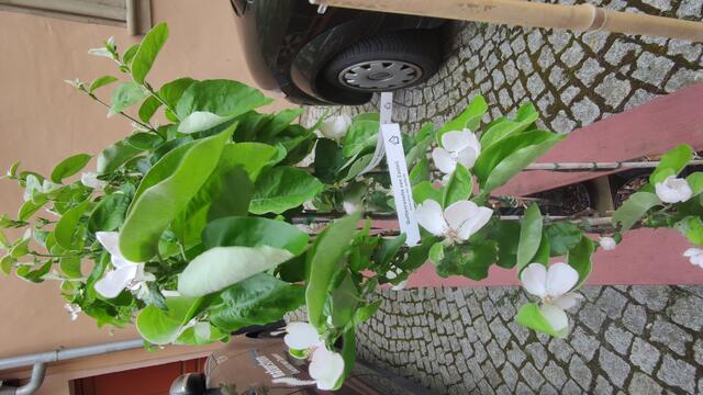 640x480/IMG_20260512_104400.jpg