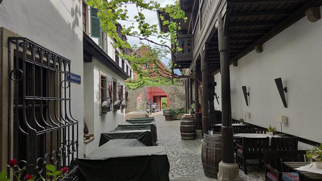 640x480/IMG_20260512_111210.jpg