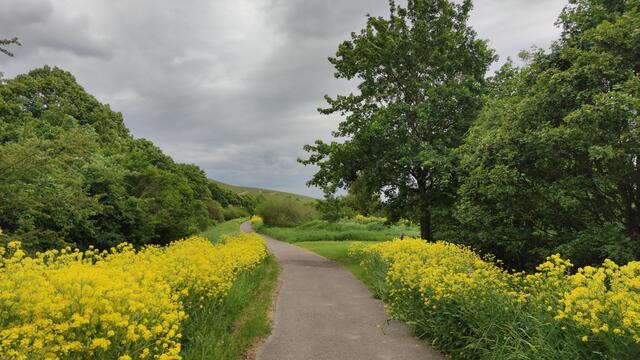 640x480/IMG_20260512_133601.jpg