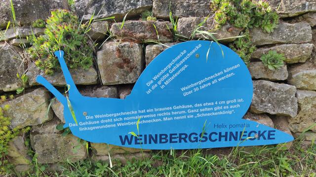 640x480/IMG_20260512_160943.jpg