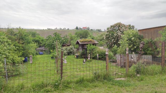 640x480/IMG_20260513_094412.jpg