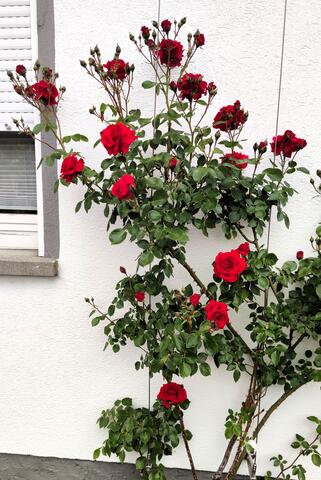 640x480/IMG_20260513_162413.jpg