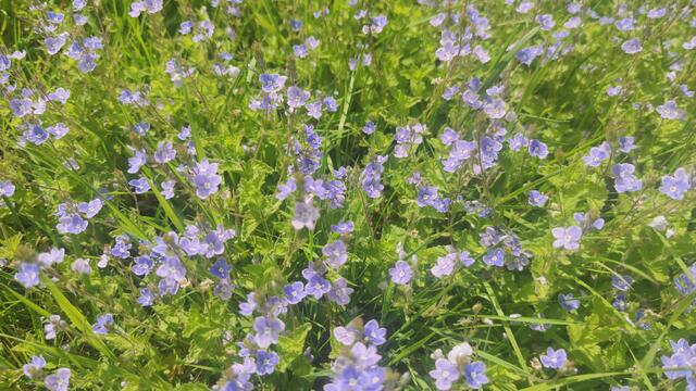 640x480/IMG_20260522_135527.jpg