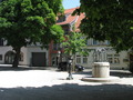 IMG_3440.JPG