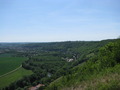 IMG_3460.JPG
