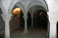 P1060599.JPG