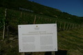 P1060633.JPG