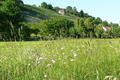 P1060640.JPG