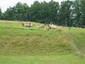 IMG_6004.JPG