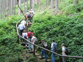 IMG_6009.JPG